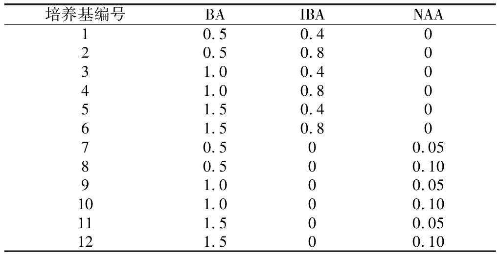 黑枸杞组培育苗技术的研究