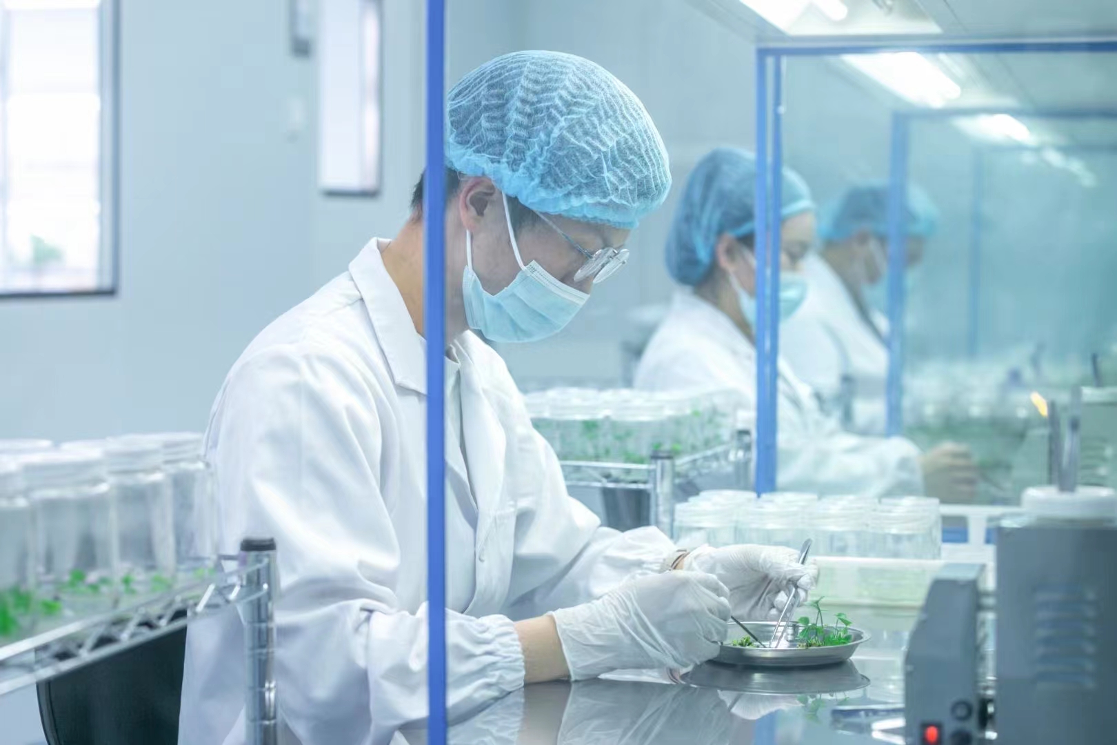 灭菌器  组培灭菌锅  高压灭菌设备